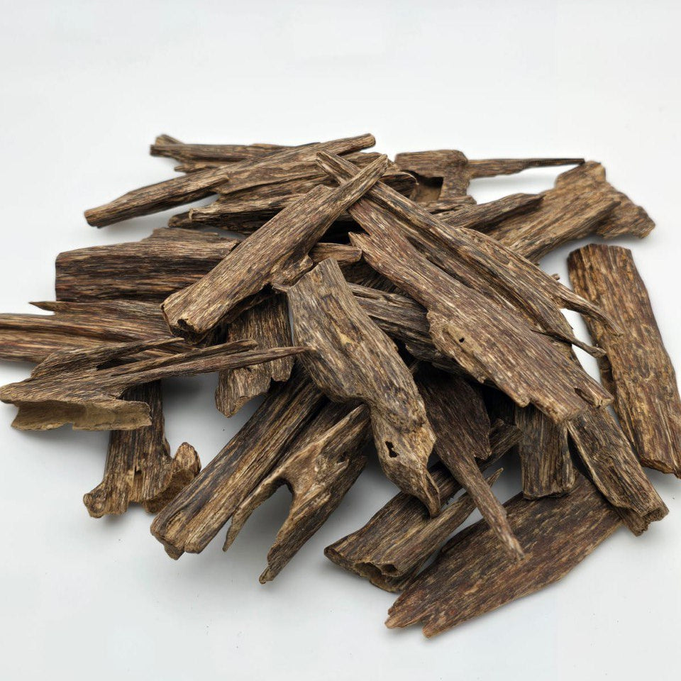 عود امفال الشيوخي